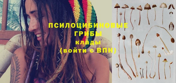 ГАЛЛЮЦИНОГЕННЫЕ ГРИБЫ Абдулино