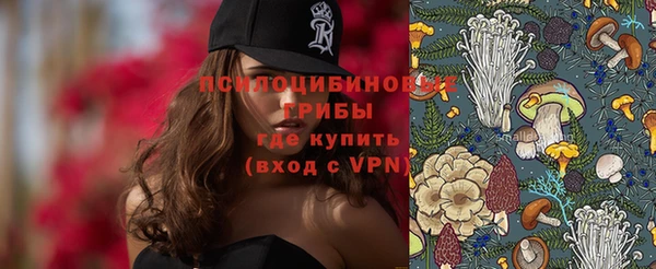 ГАЛЛЮЦИНОГЕННЫЕ ГРИБЫ Абдулино